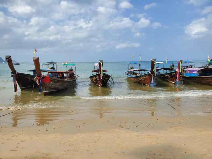 87849039_10220937461123855_3732162637027344384_o